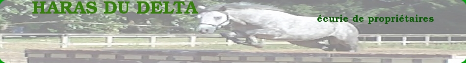 HARAS DU DELTA